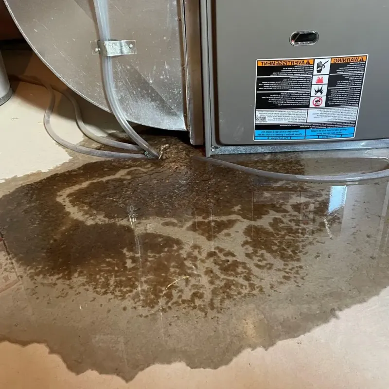 Pipe Burst and Leak Restoration in New Kent, VA