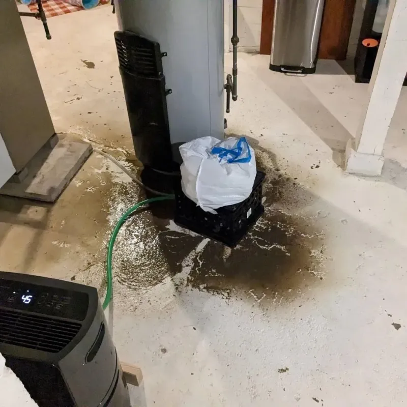 Sewage Backup Cleanup Service in New Kent, VA